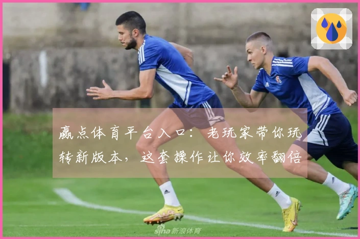 赢点体育平台入口：老玩家带你玩转新版本，这套操作让你效率翻倍！