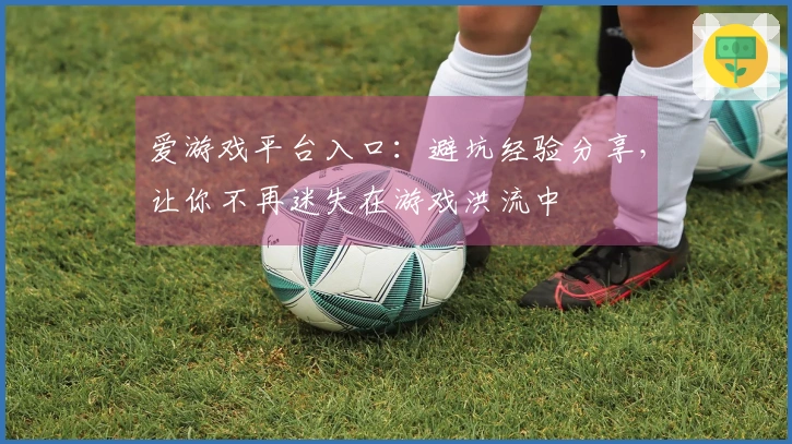 爱游戏平台入口：避坑经验分享，让你不再迷失在游戏洪流中