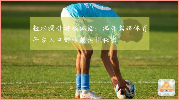 轻松提升游戏体验，揭开熊猫体育平台入口的性能优化秘密