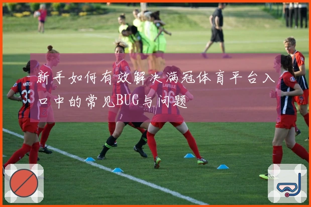 新手如何有效解决满冠体育平台入口中的常见BUG与问题